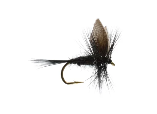 Fly Black Gnat